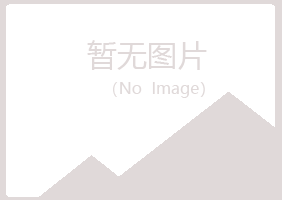 香港夏日采矿有限公司